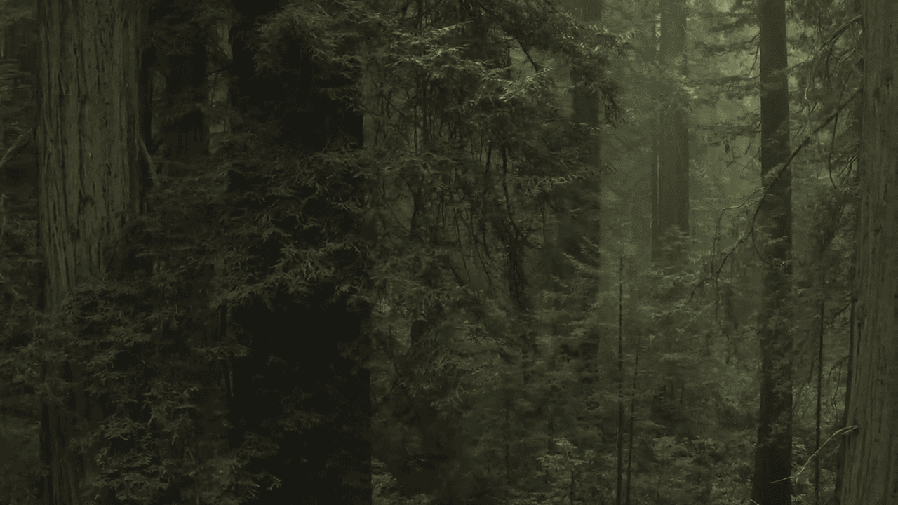 opplanet rts tactical opsec fast reliable unbeatable video