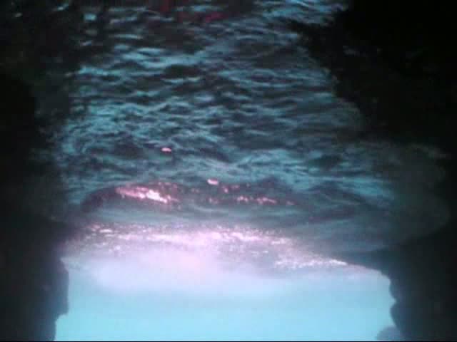 opplanet sealife dc1200 underwater camera video