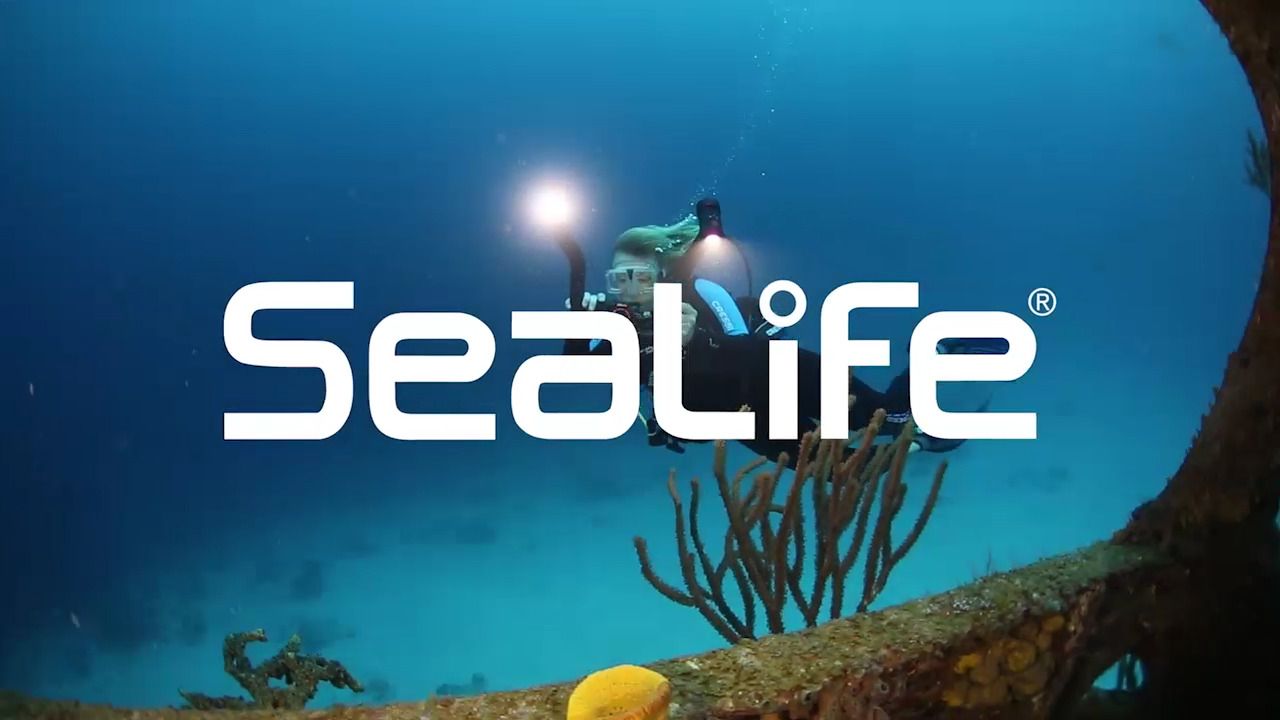 opplanet sealife micro 2 0 bahamas video