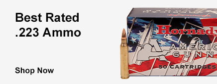 Best Rated .223 Ammo