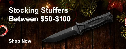 Stocking Stuffers Between $50-$100