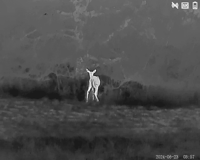 opplanet timnblt3 video