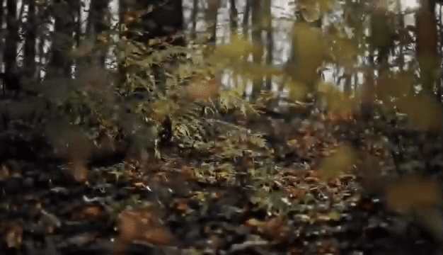 opplanet titan 3d leafy suits in action video