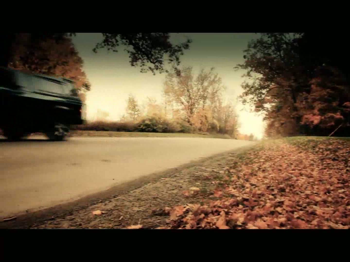 opplanet vanguard endeavor ed 8x42mm binoculars 339366 2