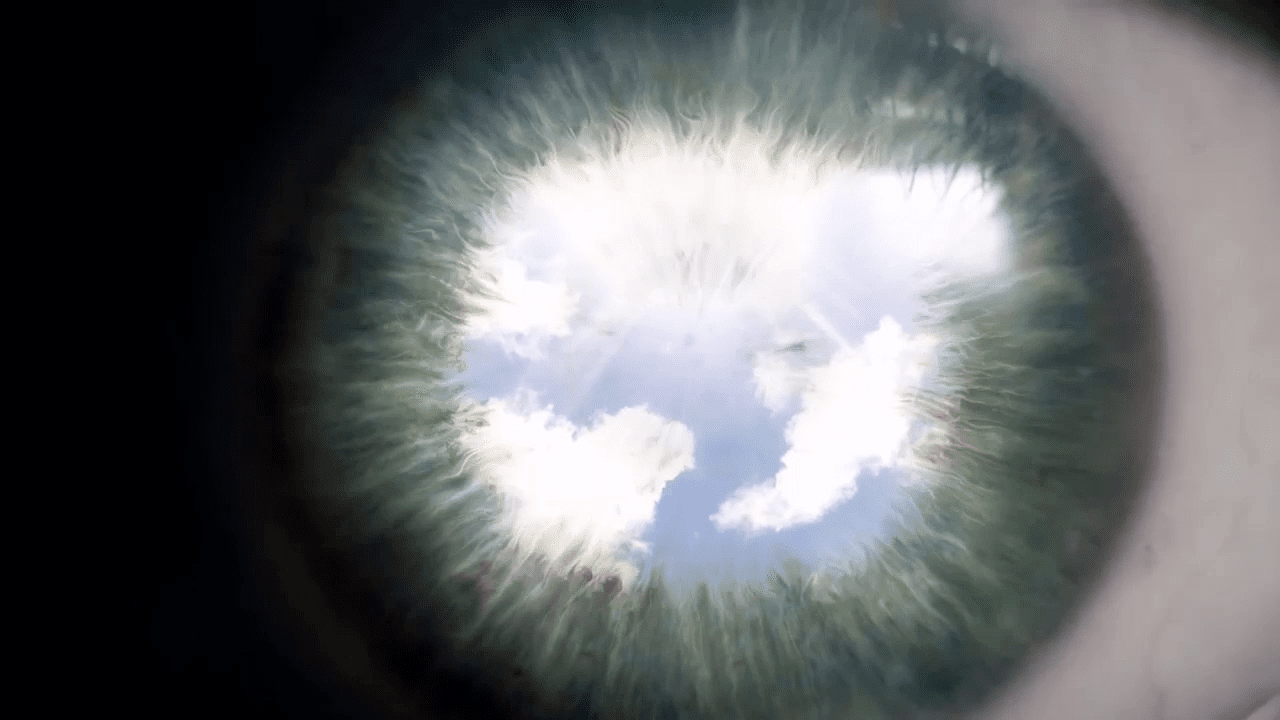opplanet wileyx enhanced polarization sportsman video