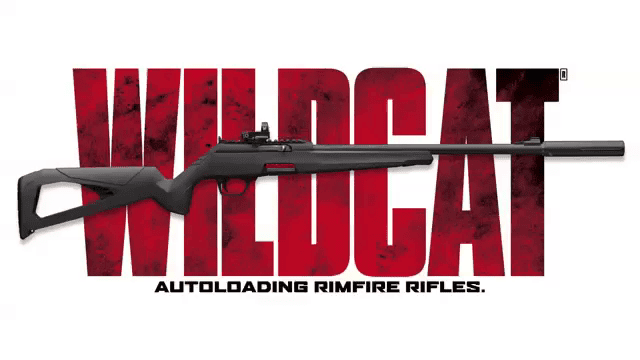 opplanet winchester wildcat 22 suppressor ready video