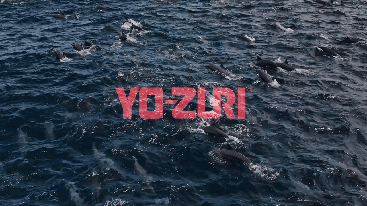 opplanet yo zuri mag dive lure video