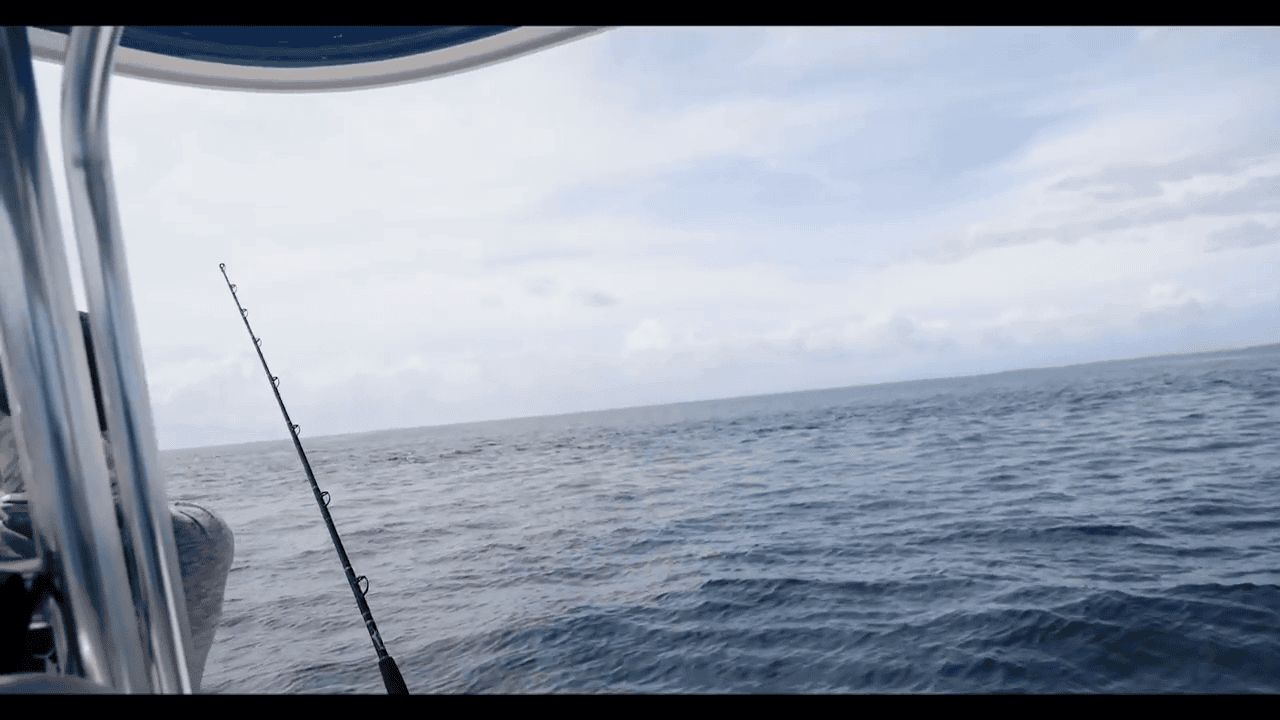 opplanet yo zuri superbraid line multi color video