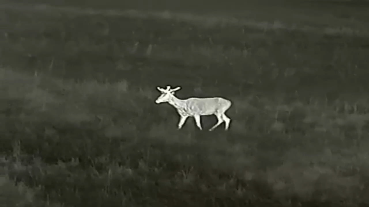 opplanet zeiss dti 3 35 footage 02 video