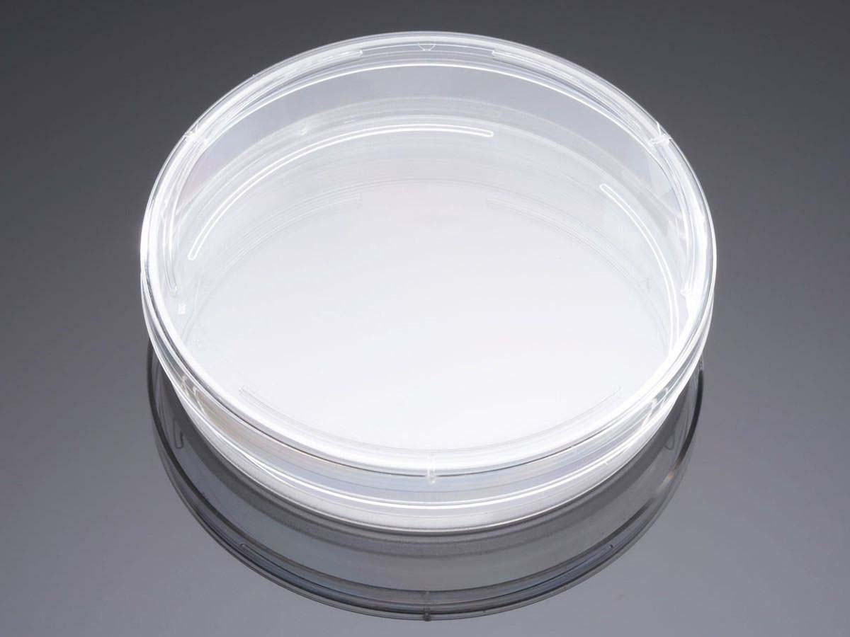 Optics Planet