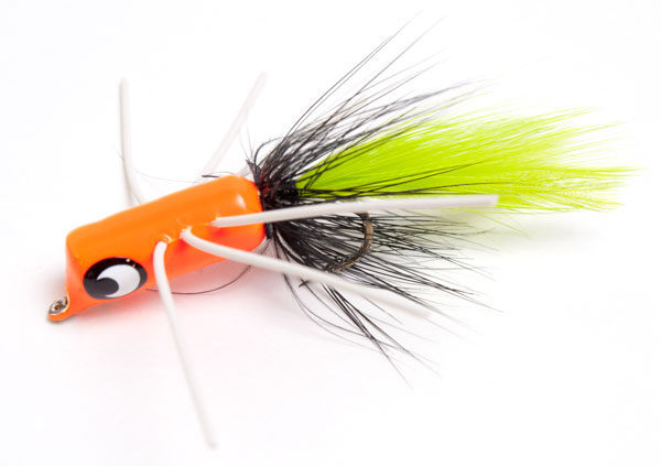 Betts Falls Firefly Shimmy Review