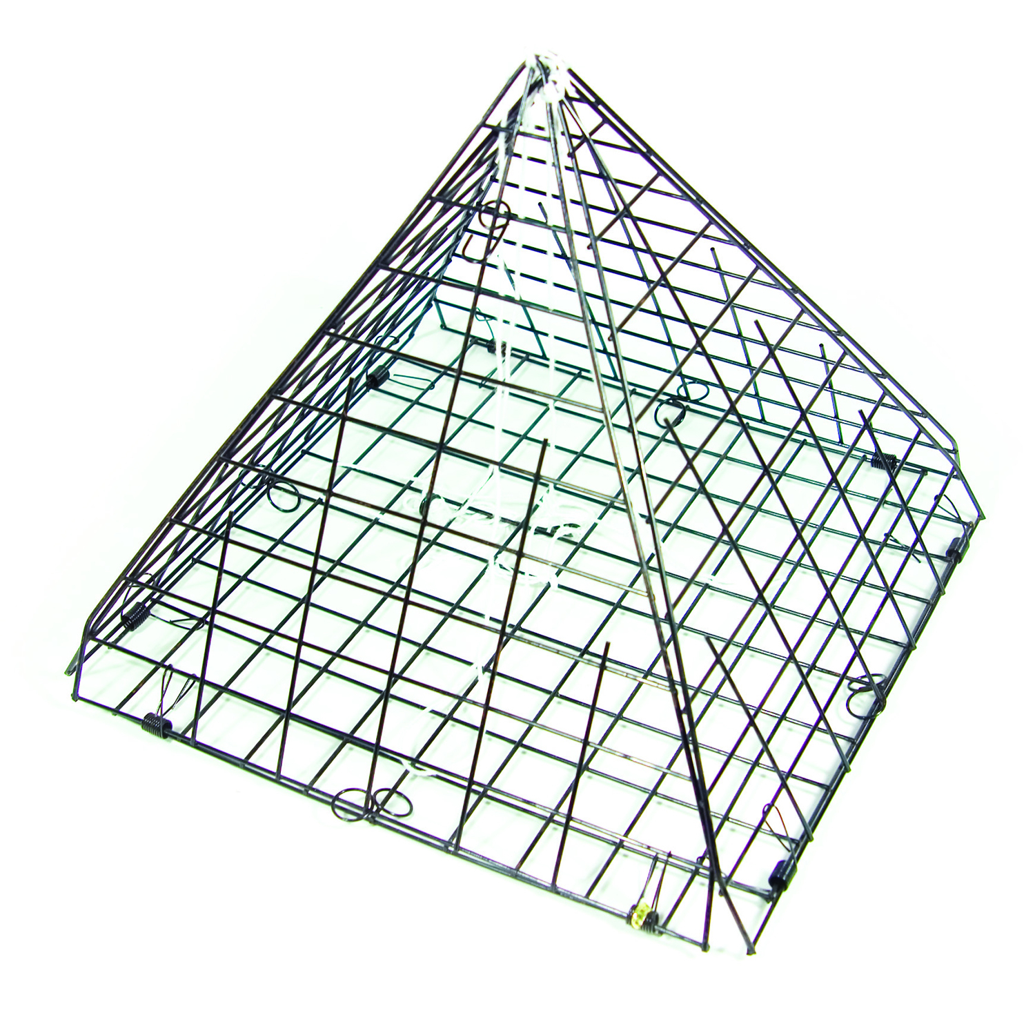 Optics Planet