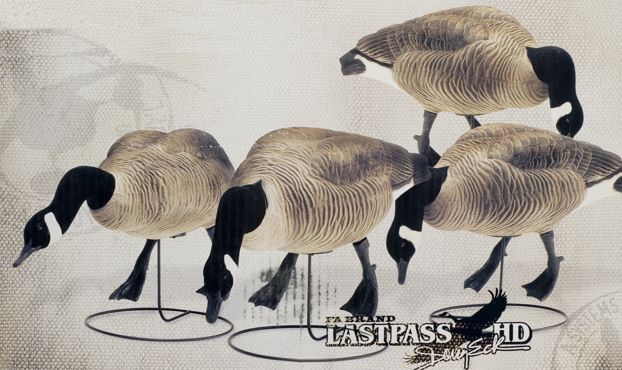 3F 激レア デットストック アオシマ ファイバーオプティクス ボーイング767 Final Approach FA Last Pass HD Field Honkers Goose Decoys |