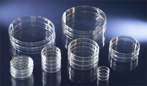 Optics Planet
