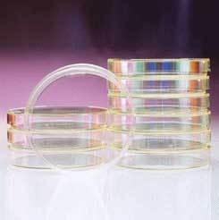 Optics Planet