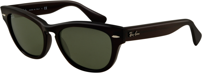 Ray-Ban LARAMIE RB4169 Sunglasses |