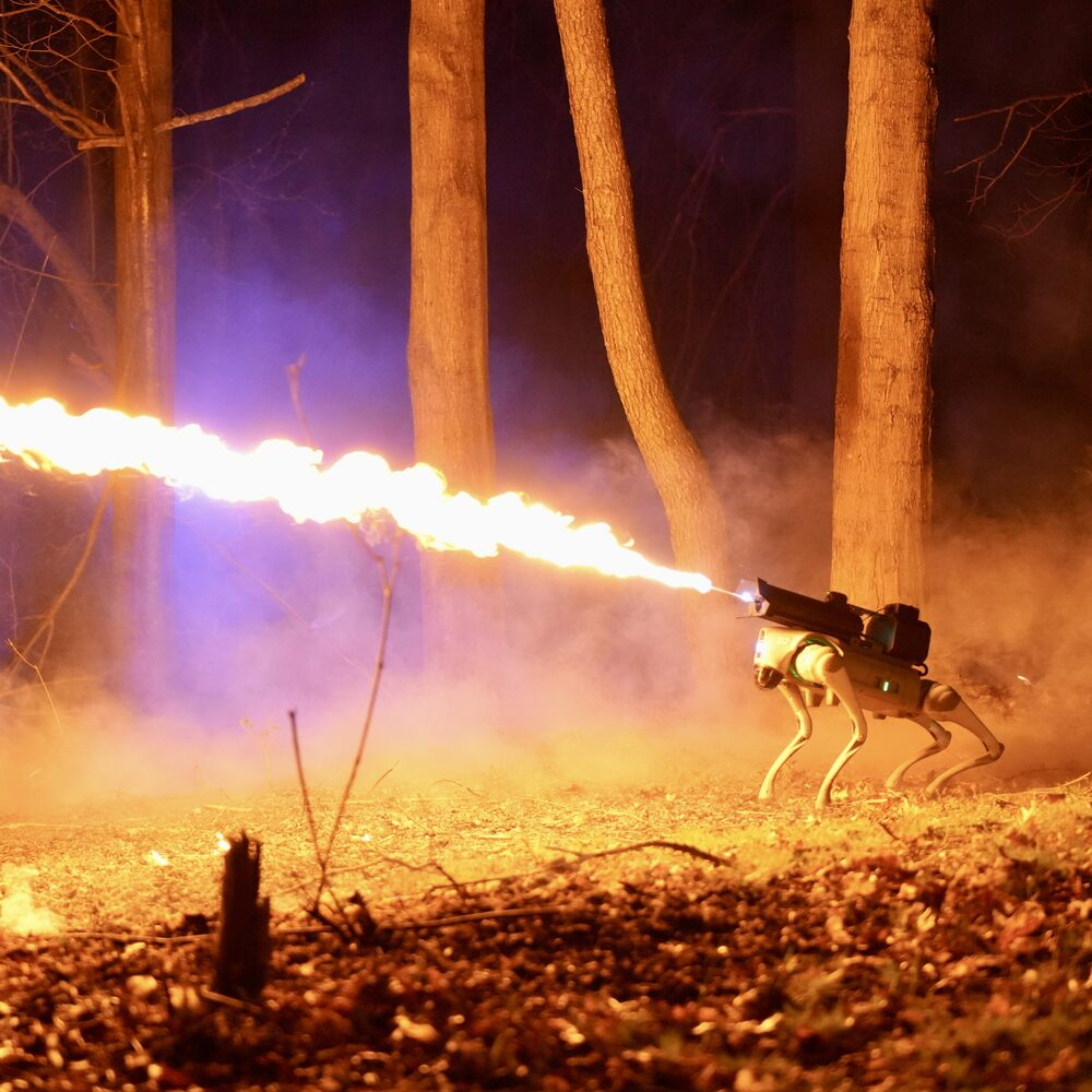 Throwflame Thermonator Flamethrower Robot Dog