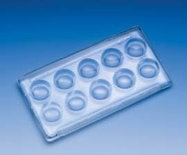 Wheaton Slide Boerner 798550, Pack of 12 Review